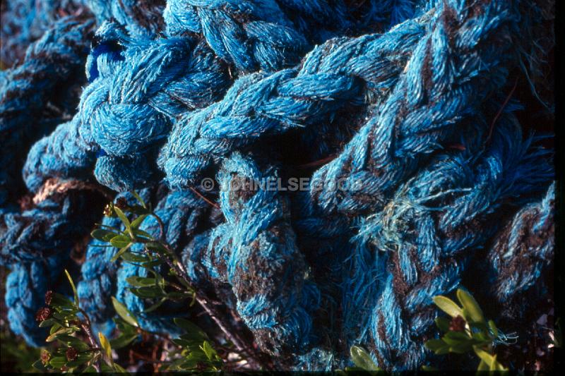 IMG_JE.TEX01.jpg - Texture, Old rope from boat, Dockyard, Bermuda