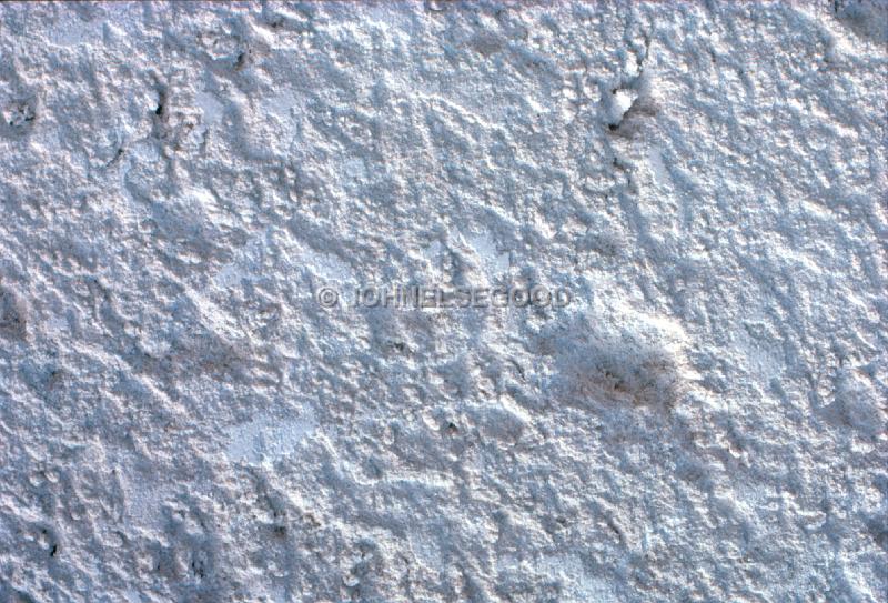 IMG_JE.TEX04.jpg - Texture, plaster on wall, Bermuda